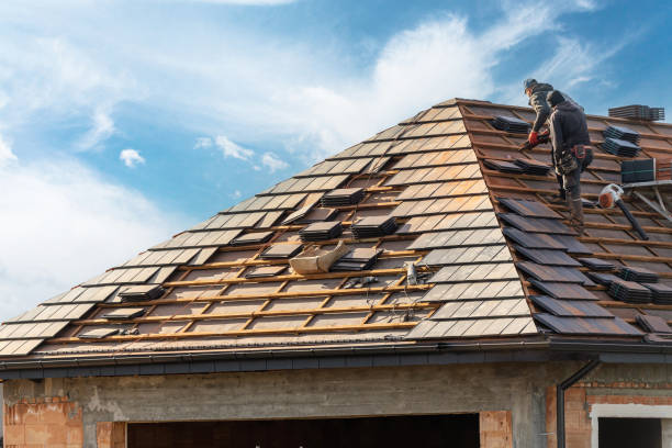Best Roof Maintenance and Cleaning  in Lo, HI